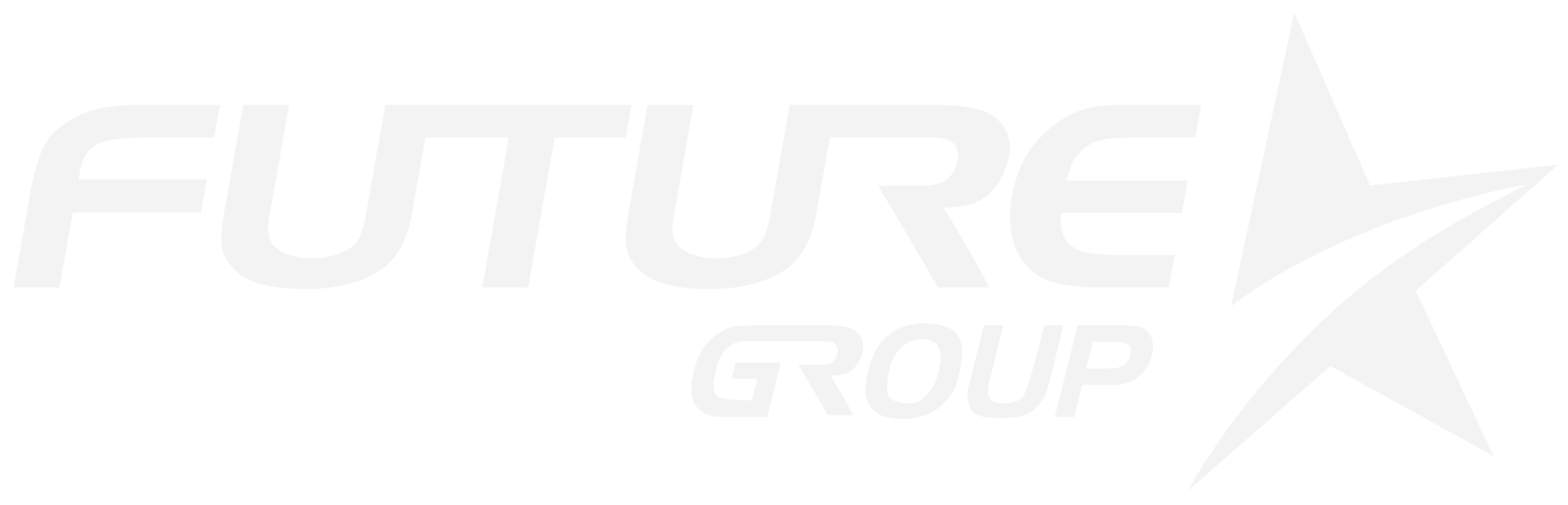 Future Group Watermark